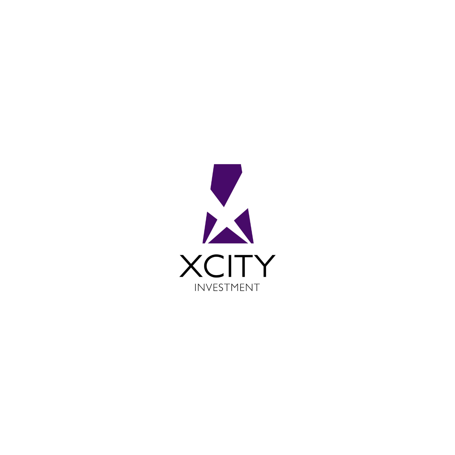 XcityInvestment_PP